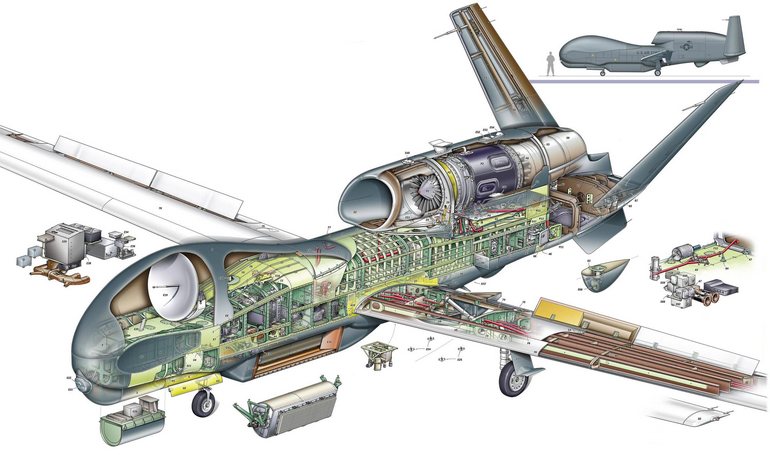 NORTHROP GRUMMAN RQ-4 Global Hawk NORTHROP GRUMMAN RQ-4 EuroHawk NORTHROP GRUMMAN MQ-4 Triton NORTHROP GRUMMAN EQ-4 Global Hawk Q4 3D view