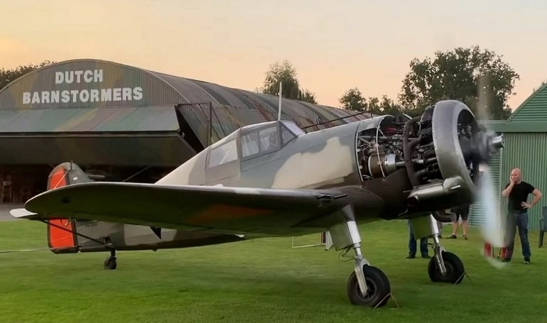 D21 image