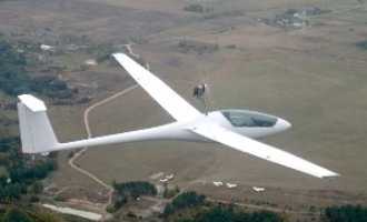 LK19 image