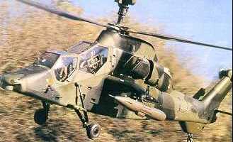 TIGR image