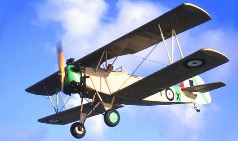 FLEET 10 FLEET 11 FLEET 16 Finch FINC aircraft photograph