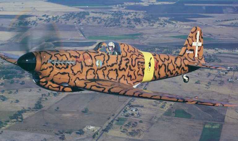 FIAT G-59 G59 aircraft photograph
