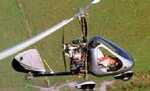 RAF2 thumb image